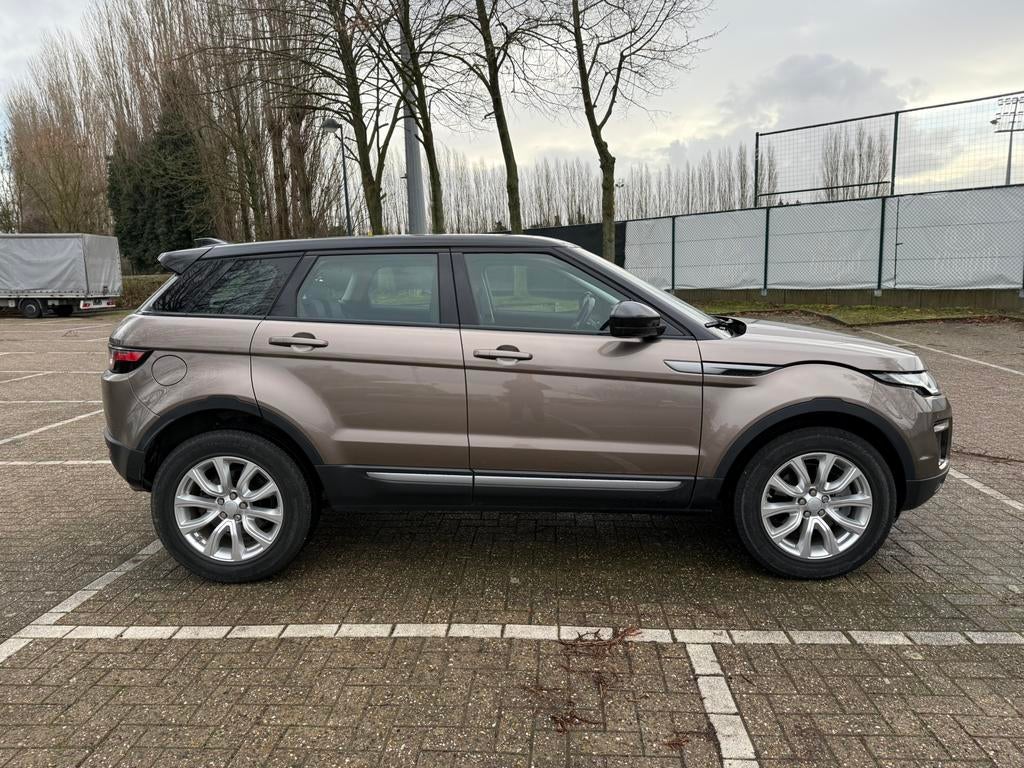 Range Rover Evoque TD4 150 pk, Cuir, Achat, Euro 6, Entretenue par le concessionnaire