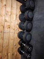 Halters van 34-36-40 kg, Sport en Fitness, Ophalen, Gebruikt, Rug, Halterset