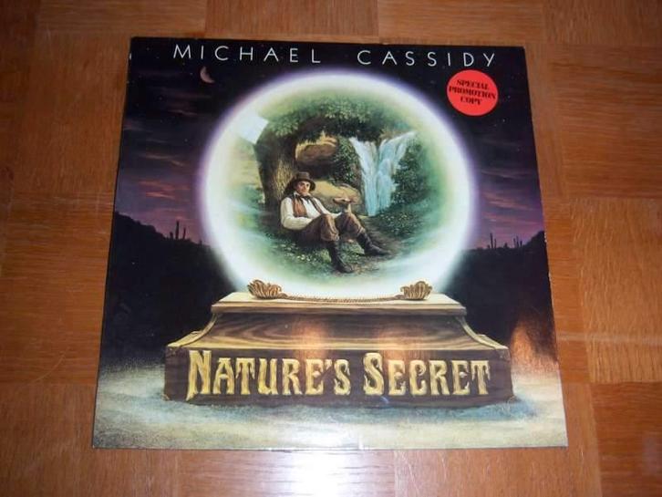 Elpee vinyl Nature's Secret / Michael Cassidy, Cd's en Dvd's, Vinyl | Rock, Zo goed als nieuw, 12 inch, Ophalen of Verzenden