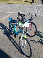 Vélos 24 pouces pour filles 8j-12y à partir de 110€, état ne, Enlèvement