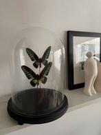 Cloche avec papillons en peluche, Enlèvement ou Envoi, Utilisé