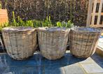 Set 3 rotan bloembakken 42cmx40cm, Ophalen