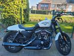 Harley Davidson xl 883n iron pearl white, Motoren, 2 cilinders, 880 cc, Particulier, Sportuitlaat