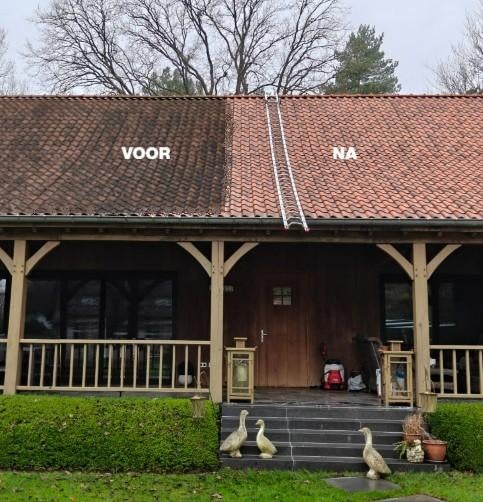 Ontmossen, reinigen van opritten en daken, Enlèvement