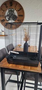 Cage pour oiseaux, Animaux & Accessoires, Oiseaux | Cages & Volières