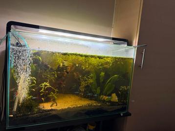 Superfish aquarium 110 liter eventueel met onderkast beschikbaar voor biedingen