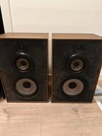 Boxen vintage, Audio, Tv en Foto, Luidsprekerboxen, Ophalen, Zo goed als nieuw