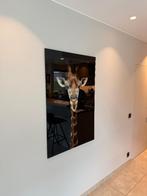 Fotoafdruk Giraf op acryl, Ophalen, Nieuw, 75 tot 100 cm, Foto of Poster