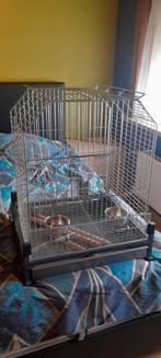 Papegaaien of vogel kooi, Ophalen, Gebruikt, Vogelkooi