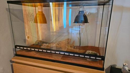 terrarium, Dieren en Toebehoren, Reptielen en Amfibieën | Toebehoren, Zo goed als nieuw, Ophalen