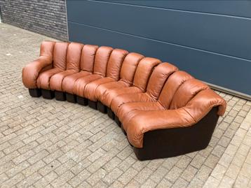De Sede Ds600 Snake Tatzelwurm, 12 elementen. Nieuwstaat! beschikbaar voor biedingen