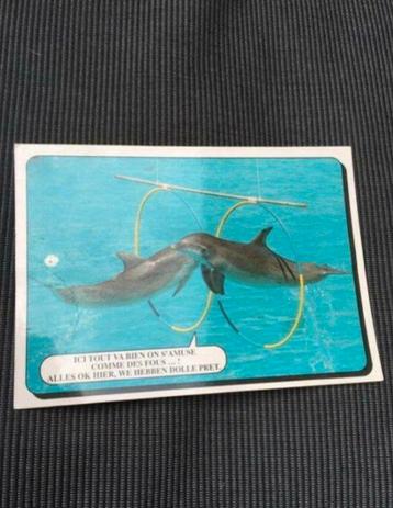 Postkaart Dolfijnen, Enlèvement ou Envoi, 1980 à nos jours, Non affranchie, Animal aquatique