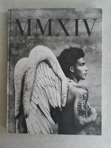 MMXIV De Rode Duivels boek - Stephan Vanfleteren beschikbaar voor biedingen