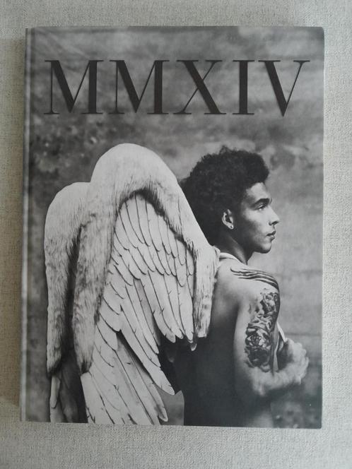 MMXIV De Rode Duivels boek - Stephan Vanfleteren, Boeken, Sportboeken, Ophalen of Verzenden