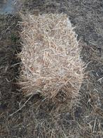 Kleine balen stro, Dieren en Toebehoren, Ophalen