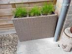 3 stuks met vaste siergrassen in., Tuin en Terras, Ophalen, Zo goed als nieuw