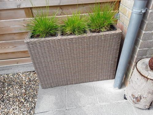 3 stuks met vaste siergrassen in., Tuin en Terras, Bloembakken en Plantenbakken, Zo goed als nieuw, Ophalen