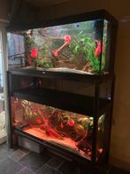 Aquarium stelling, Dieren en Toebehoren, Vissen | Aquaria en Toebehoren, Ophalen, Zo goed als nieuw