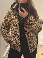 Ski jas Protest, Kleding | Dames, Jassen | Winter, Ophalen, Zo goed als nieuw