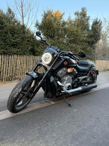 Harley Davidson VRSCF V-ROD MUSCLE  disponible aux enchères