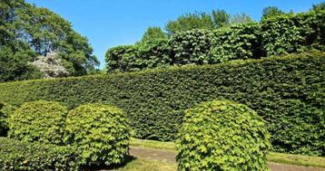 Tuinwerken & Kleine Tuinklusjes aan Huis beschikbaar voor biedingen