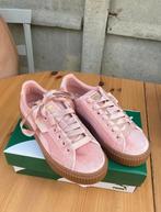 Puma sneaker schoen maat 37 Nieuw in doos, Sport en Fitness, Tennis, Ophalen of Verzenden, Nieuw, Schoenen, Overige merken