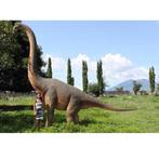 Braciosaurus – Dinosaurus beeld Lengte 547 cm, Verzamelen, Dierenverzamelingen, Ophalen, Nieuw