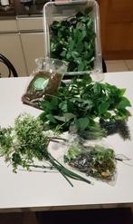 AV, FEUILLES ET FEUILLAGES POUR BRICOLAGE, Enlèvement ou Envoi, Neuf, Bricolage