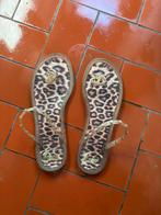 Roberto cavalli slippers 39, Kleding | Dames, Slippers, Overige kleuren, Nieuw, Ophalen of Verzenden
