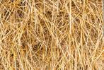Kleine balen hooi, Dieren en Toebehoren, Dierenvoeding, Ophalen, Overige soorten