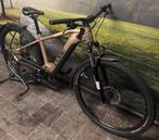 Cube Reaction Electrische Fiets E-MTB met BOSCH CX (85NM), Fietsen en Brommers, Overige merken, Hardtail, Ophalen of Verzenden