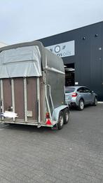 Henra 2 paards trailer, Animaux & Accessoires, Chevaux & Poneys | Semi-remorques & Remorques, Polyester, Utilisé, Remorque 2 chevaux
