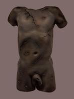 Mannelijke Torso, Ophalen