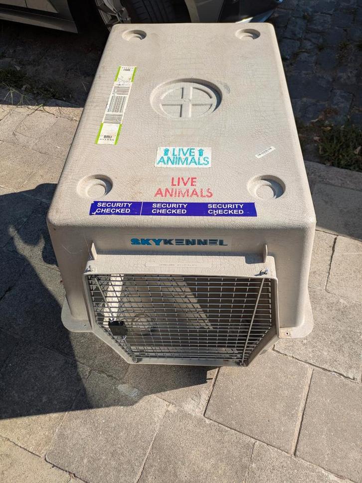 Hondenbench XL voor vliegtuig, Dieren en Toebehoren, Hondenbenches, Gebruikt, Ophalen