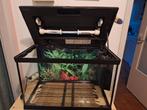 Aquarium 60L avec accesoires, Animaux & Accessoires, Enlèvement