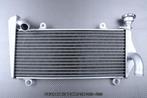 Radiateur radiatoren AVDB DUCATI PANIGALE 899 1199 2013 2015, Motoren, Ophalen of Verzenden, Nieuw