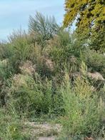 Leemgrond gratis, Tuin en Terras, Ophalen, Overige typen