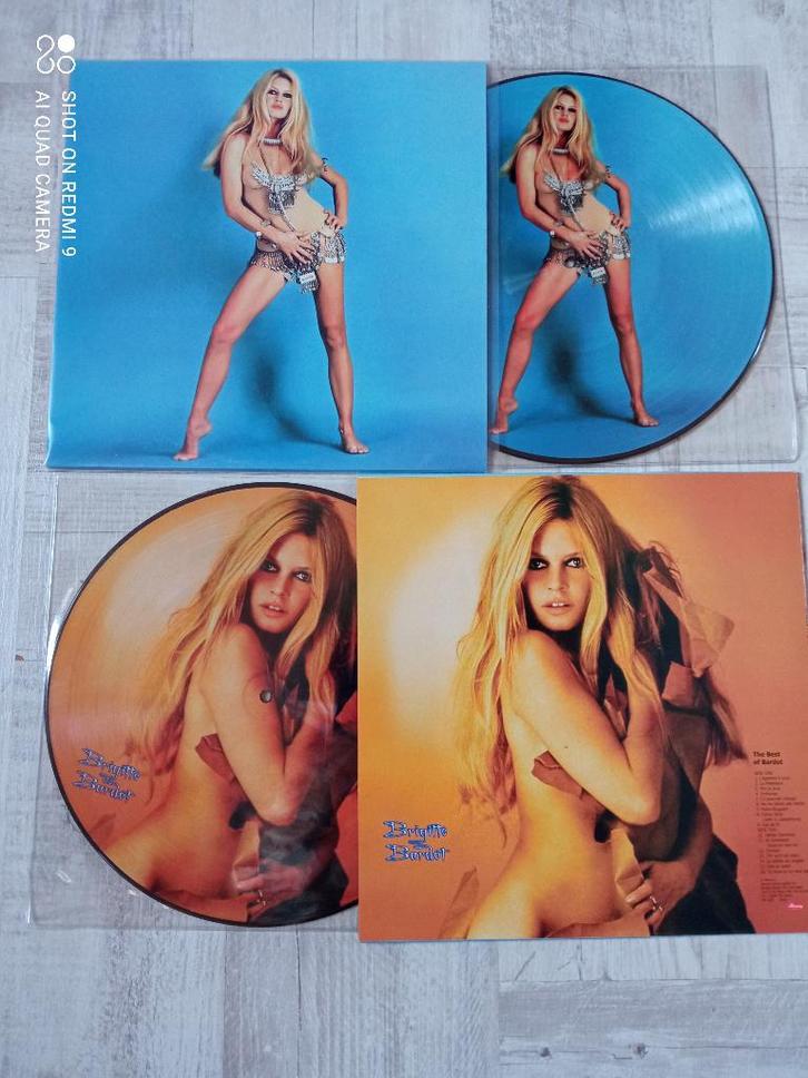 SIN89/Picture Disc Brigitte Bardot /Madonna/Bowie /Ect.., Cd's en Dvd's, Vinyl | Overige Vinyl, Zo goed als nieuw, 12 inch, Ophalen of Verzenden