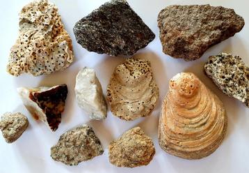 Gesteenten, mineralen beschikbaar voor biedingen