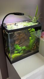 Aquarium, Ophalen, Zo goed als nieuw