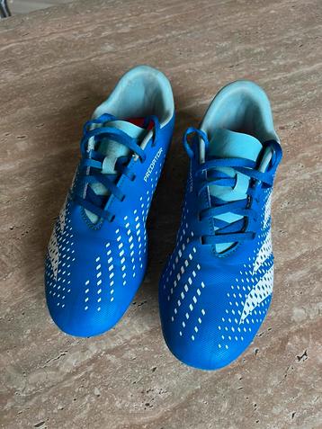 Adidas predator beschikbaar voor biedingen