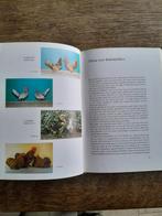 Krielkippen boek., Ophalen of Verzenden