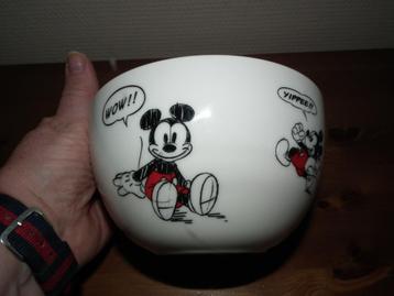 Grote Mickey-kom (exclusief product van Disneyland Paris) H: beschikbaar voor biedingen