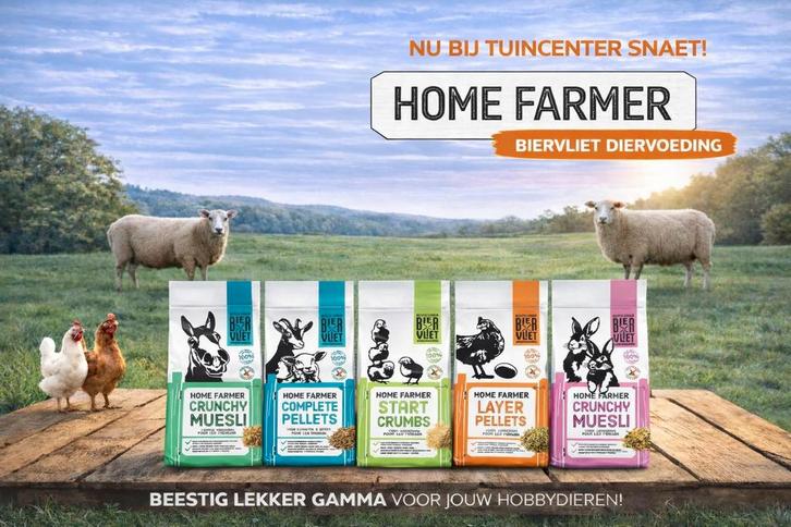 smaakvolle pluimveevoeders in Loppem, Dieren en Toebehoren, Pluimvee