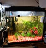 Aquarium  40l, Ophalen, Zo goed als nieuw