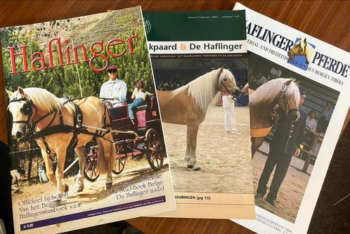 Tijdschriften van Haflinger België/Nederland/ Oostenrijk, Boeken, Dieren en Huisdieren, Zo goed als nieuw, Ophalen of Verzenden