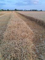 Tarwe stro, Enlèvement