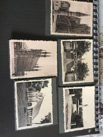 Oude kaartjes chicorei de Beukelaar  beschikbaar voor biedingen