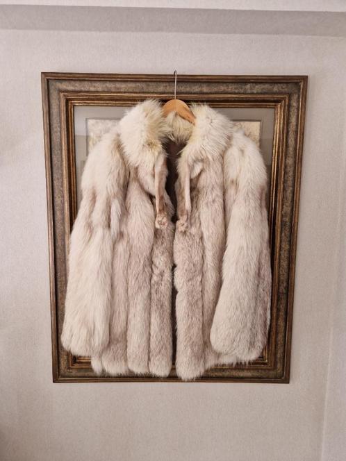 Bontjas, Blauwvos met pootjes., Kleding | Dames, Jassen | Winter, Zo goed als nieuw, Beige, Ophalen of Verzenden