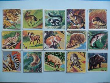 chromos Panini Super Zoo trading cards images stickers beschikbaar voor biedingen